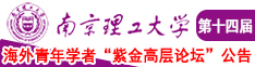 爆操欧美南京理工大学第十四届海外青年学者紫金论坛诚邀海内外英才！